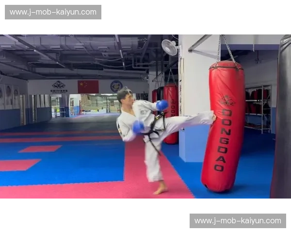 跆拳道预测：用数据点燃每一次跃腿